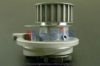 AKS DASIS 785090N Water Pump